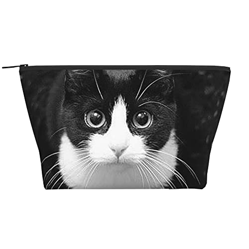 Black White Cat