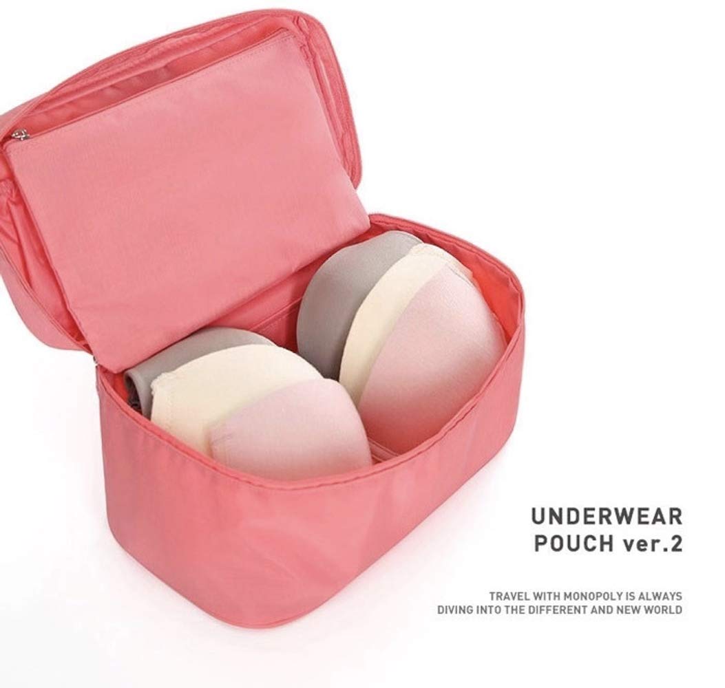 Multi-Function Underwear & Bra Organizer - Lightweight Double Layer Travel Cosmetic Bag with Compartments for Women | Perfect for Travel, Gym & Daily Storage (Blue)