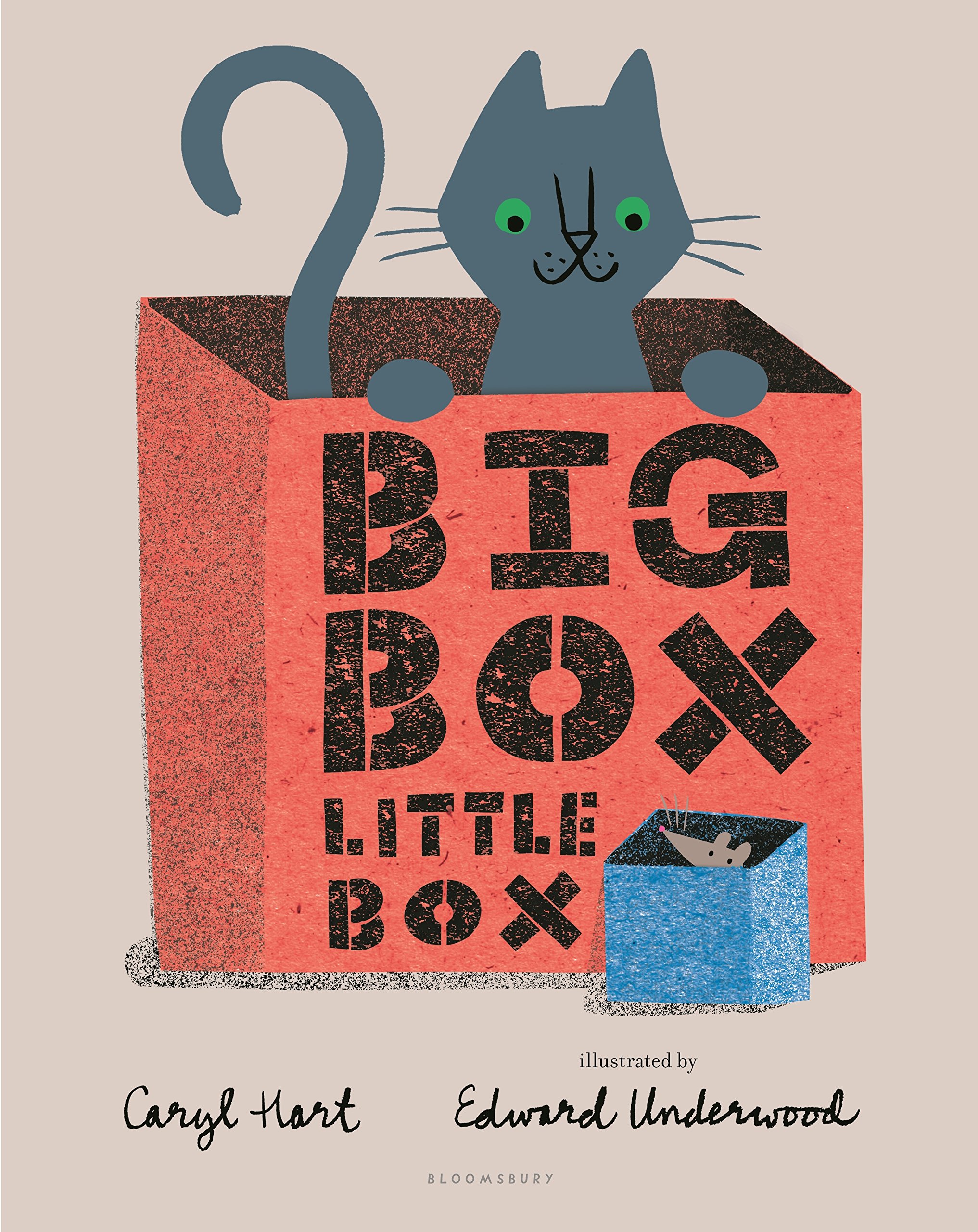 Big Box Little Box - Premium Storage Box Set for Home & Office Organization | Perfect for Closet, Pantry, and Toy Storage