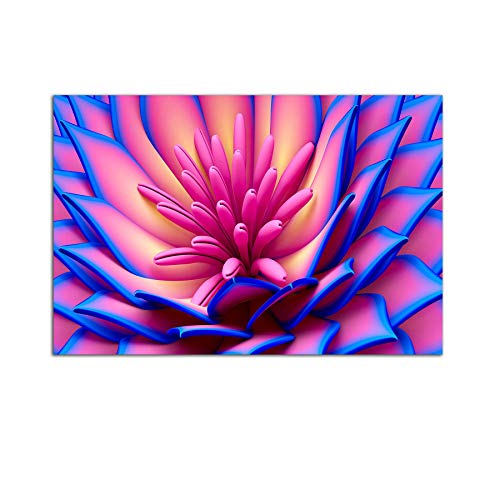 Pink Blue macro