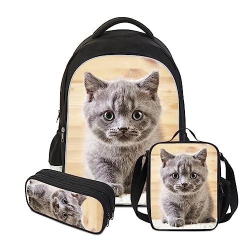 Black-cat2-3pcs