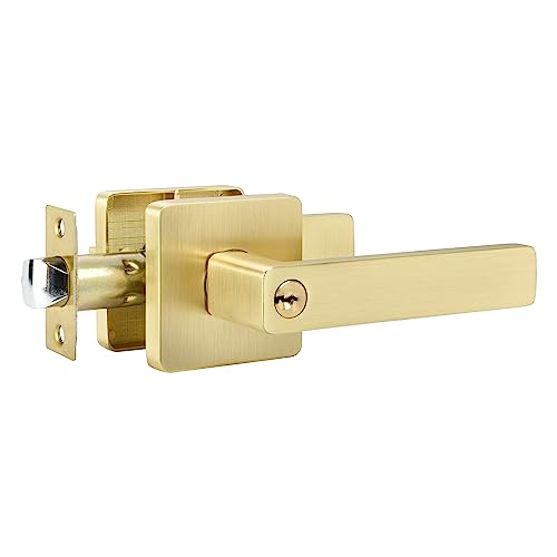 Entry Lock with Keys (Keyed Alike )