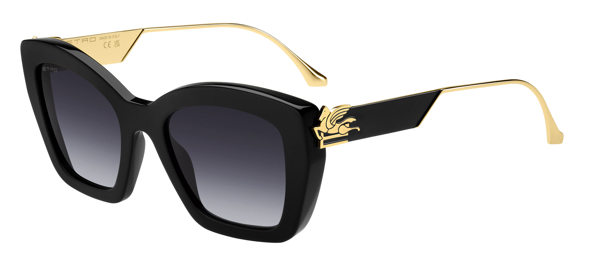 Etro 0039 G S Sunglasses - Luxury Designer Shades for Men & Women - UV Protection & Fashion Eyewear - Perfect for Outdoor Activities, Beach & Driving