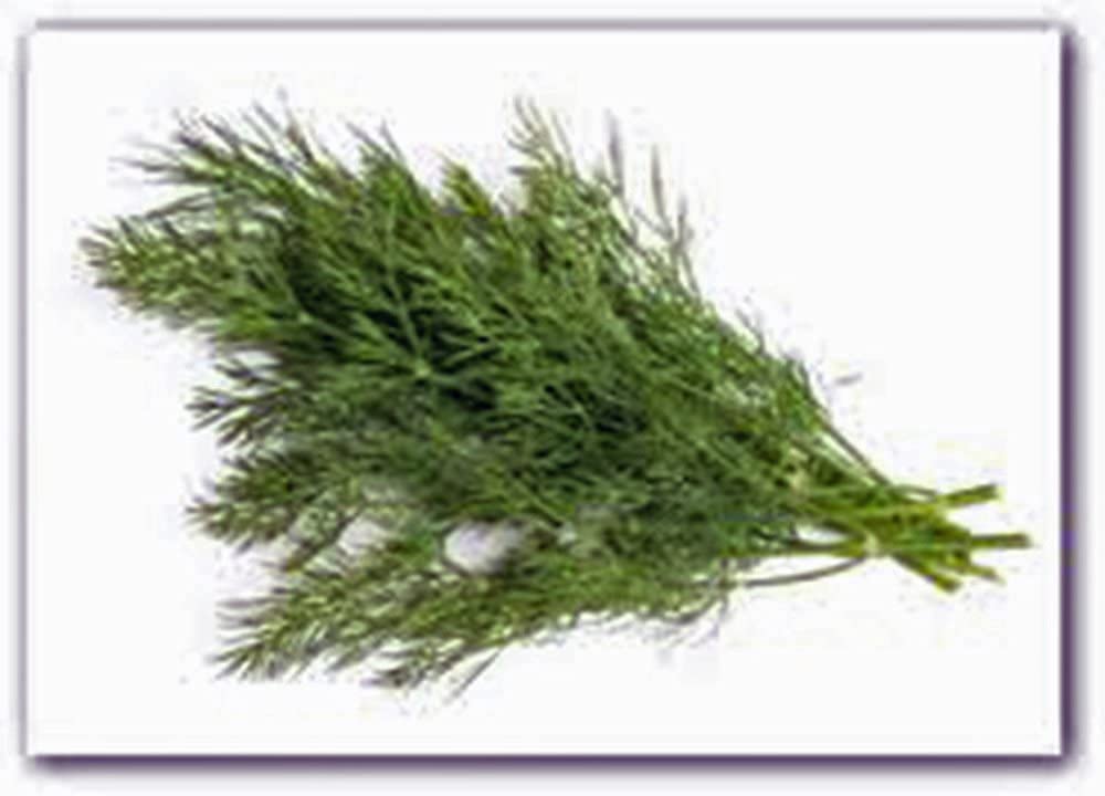 Organic Non-GMO Heirloom Dill Seed - Mammoth Long Island Variety (100+ Seeds) for Fresh or Dried Herbs - Perfect for Pickling, Cooking, and Home Gardening