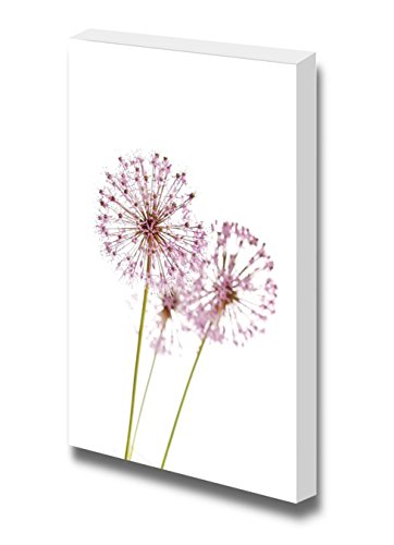 Some Chives