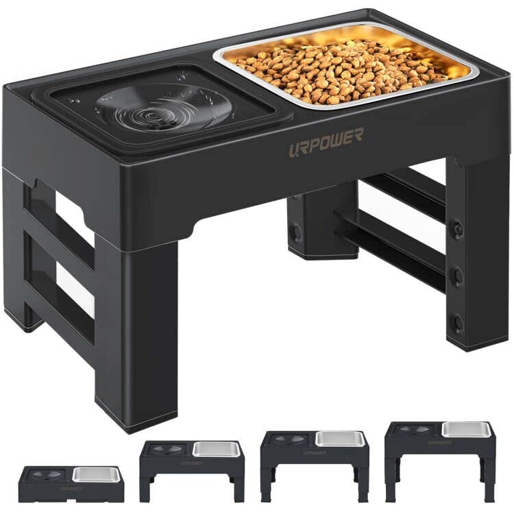 No spill water bowl+ Stainless Steel Bowl Black