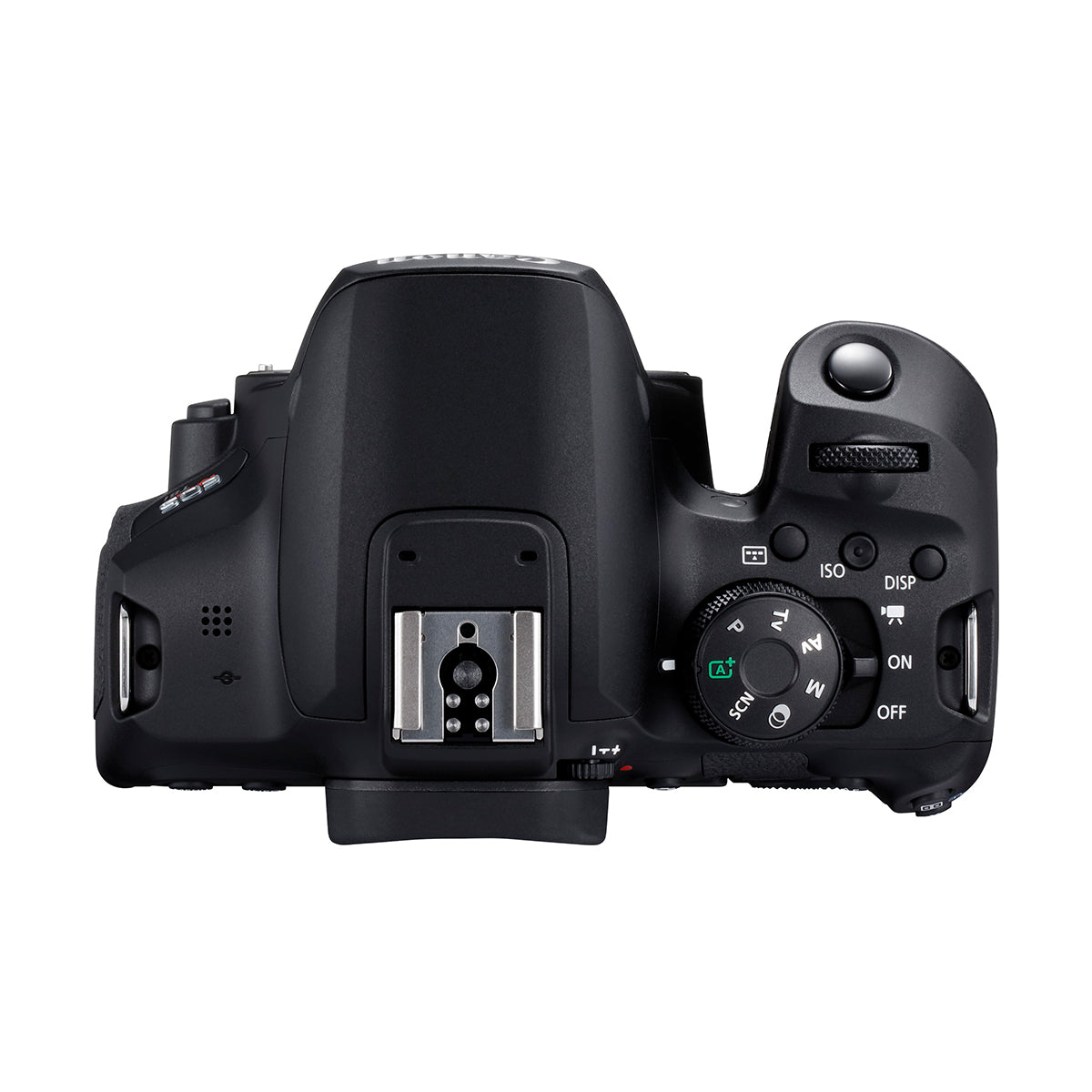 Canon EOS Rebel T8i DSLR Camera Body - 24.1MP APS-C Sensor, 4K Video, Wi-Fi & Bluetooth - Perfect for Travel Photography, Vlogging & Family Events