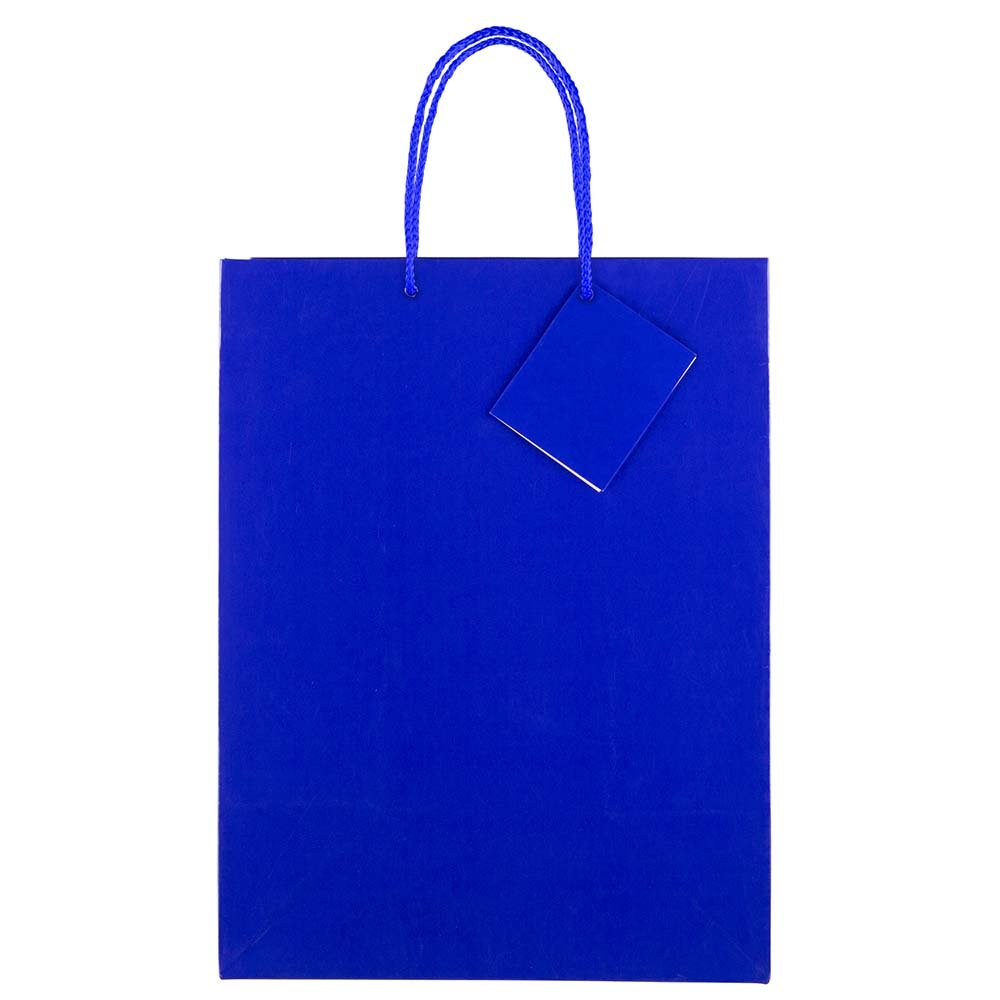 JAM Paper Glossy Blue Gift Bags with Rope Handles - 10x5x13 Inches - Bulk Pack of 100 - Perfect for Party Favors, Wedding Gifts & Holiday Packaging