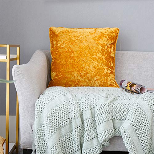 Orange Yellow