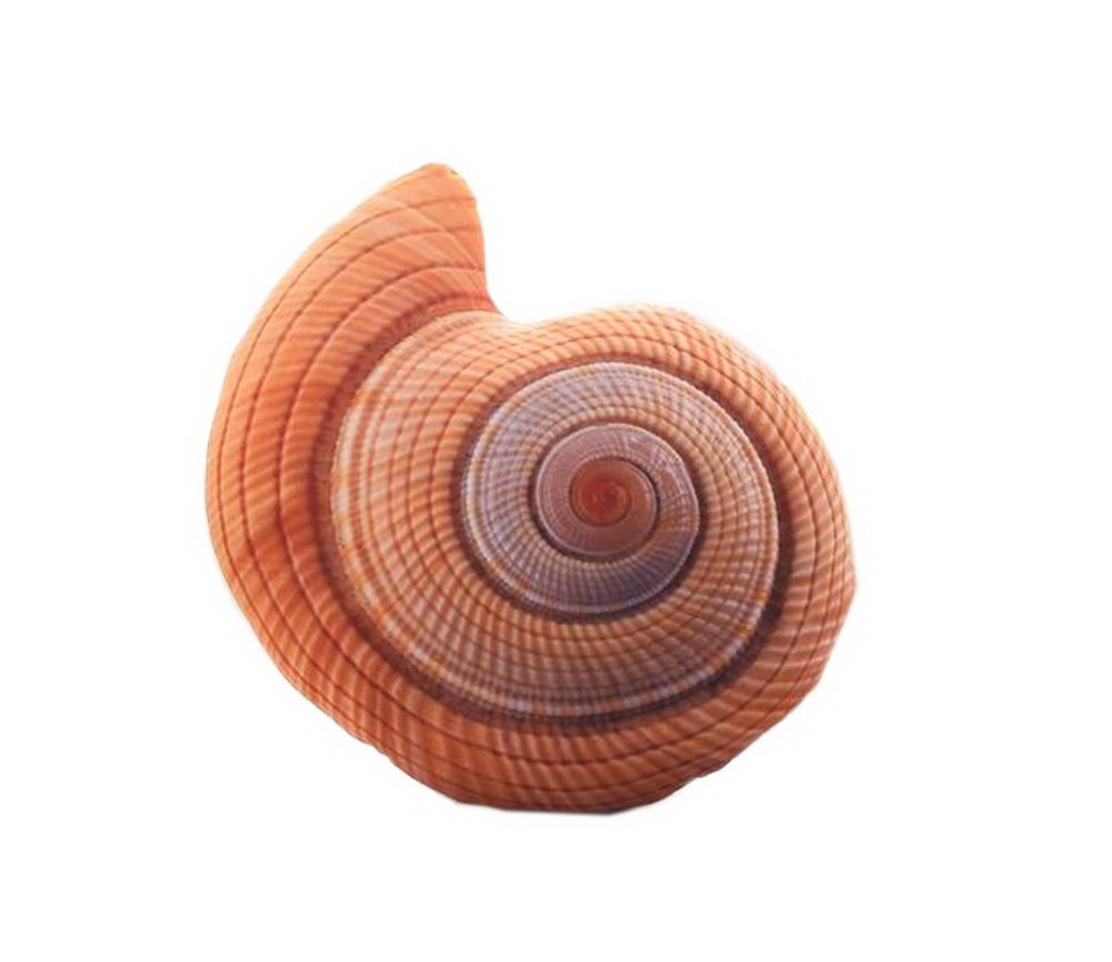 Lifelike Conch Pillow - Soft Plush Office Cushion for Home & Gift