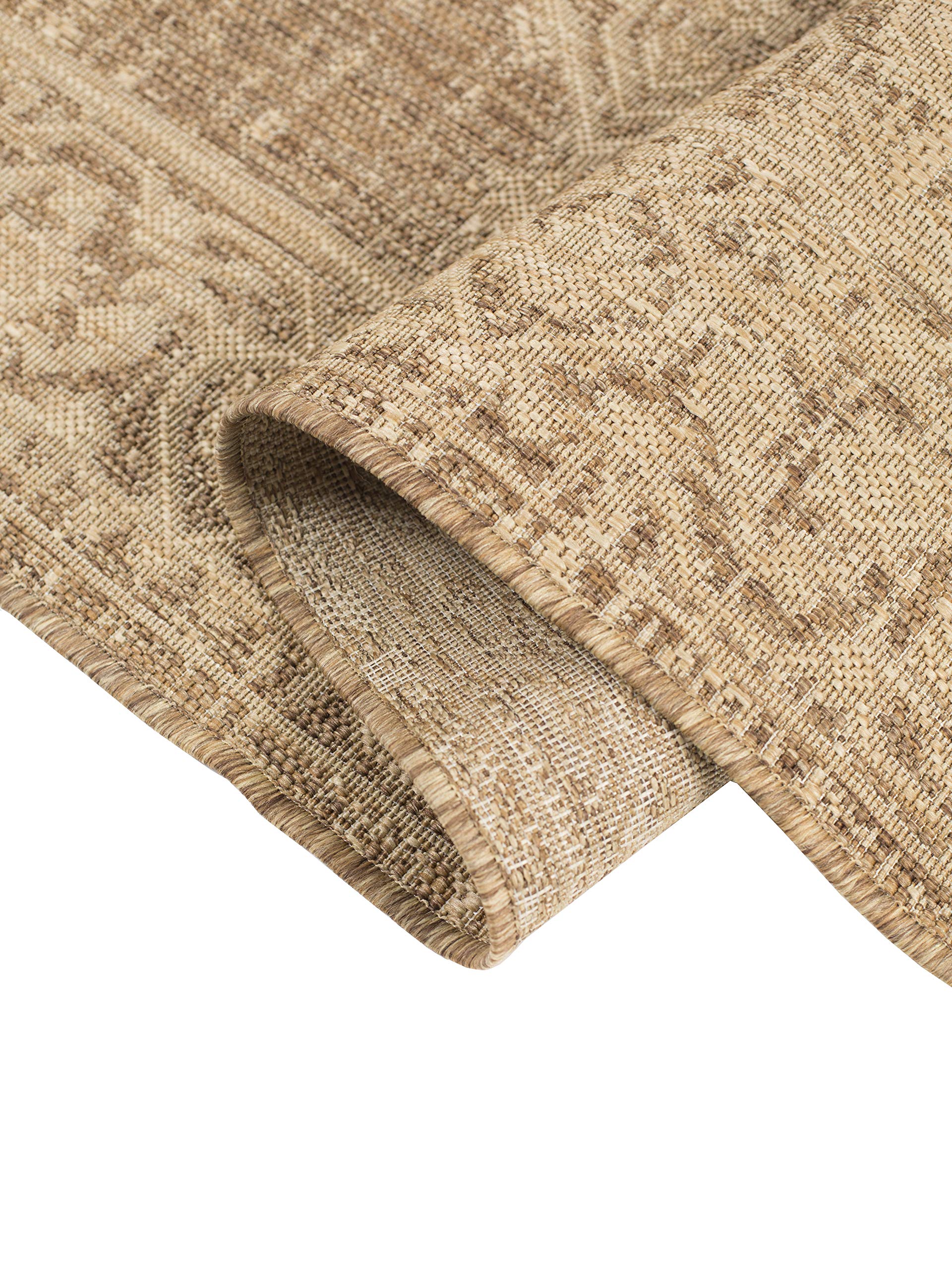 Persian Style Outdoor Area Rug 7'10