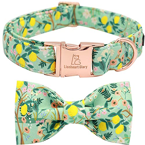 Lemon blossom