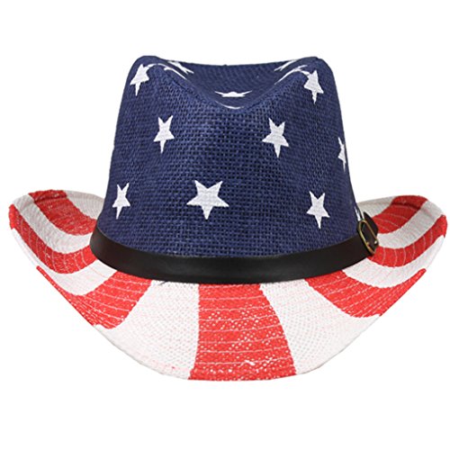 Usa Flag