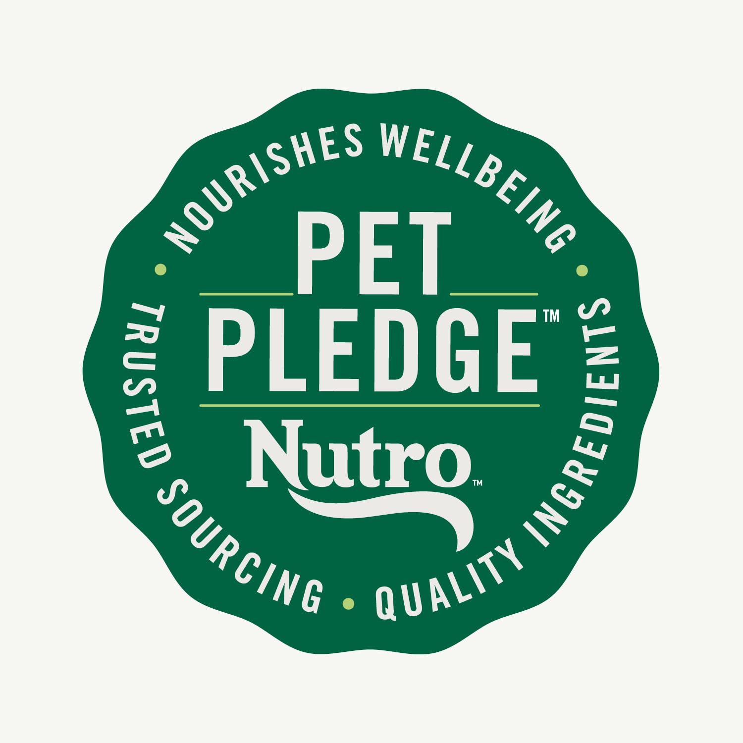 Nutro Natural Choice Adult Small Breed Dry Dog Food - Chicken & Brown Rice Recipe, 13 lb Bag - High Protein Kibble for Small Dogs - Perfect for Indoor Pets & Active Lifestyles