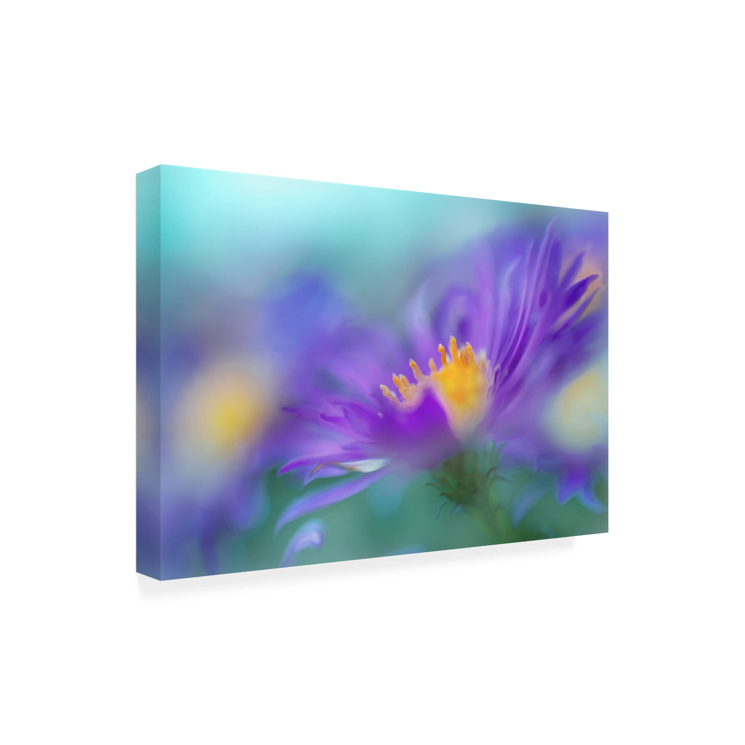 Trademark Fine Art 'Gold And Purple in the Mist IV' Canvas Wall Art by Gillian Hunt - Elegant Home Decor for Living Room, Bedroom & Office