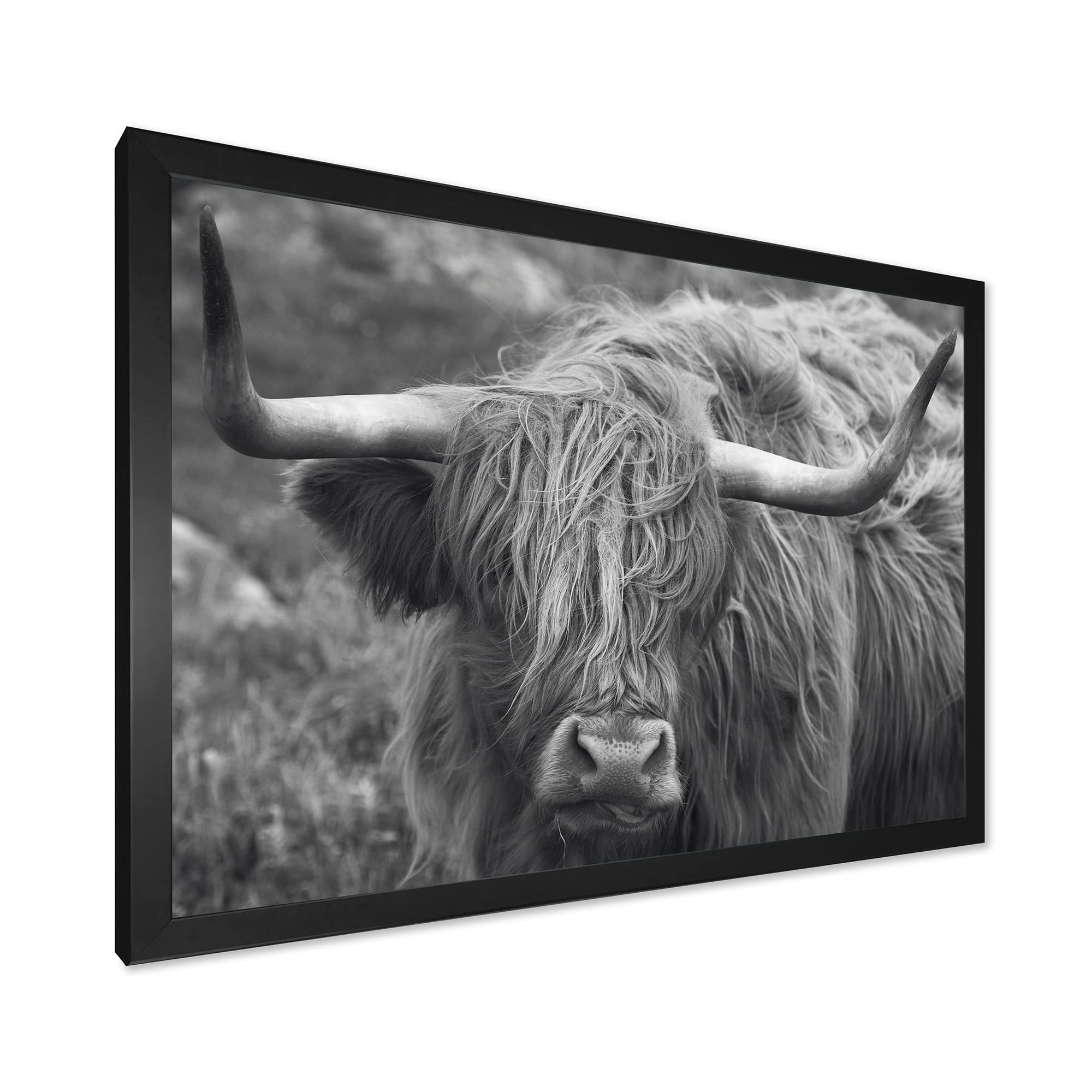 Scottish Highland Cow on Moorland - Farmhouse Framed Wall Art Decor for Living Room, Bedroom & Office