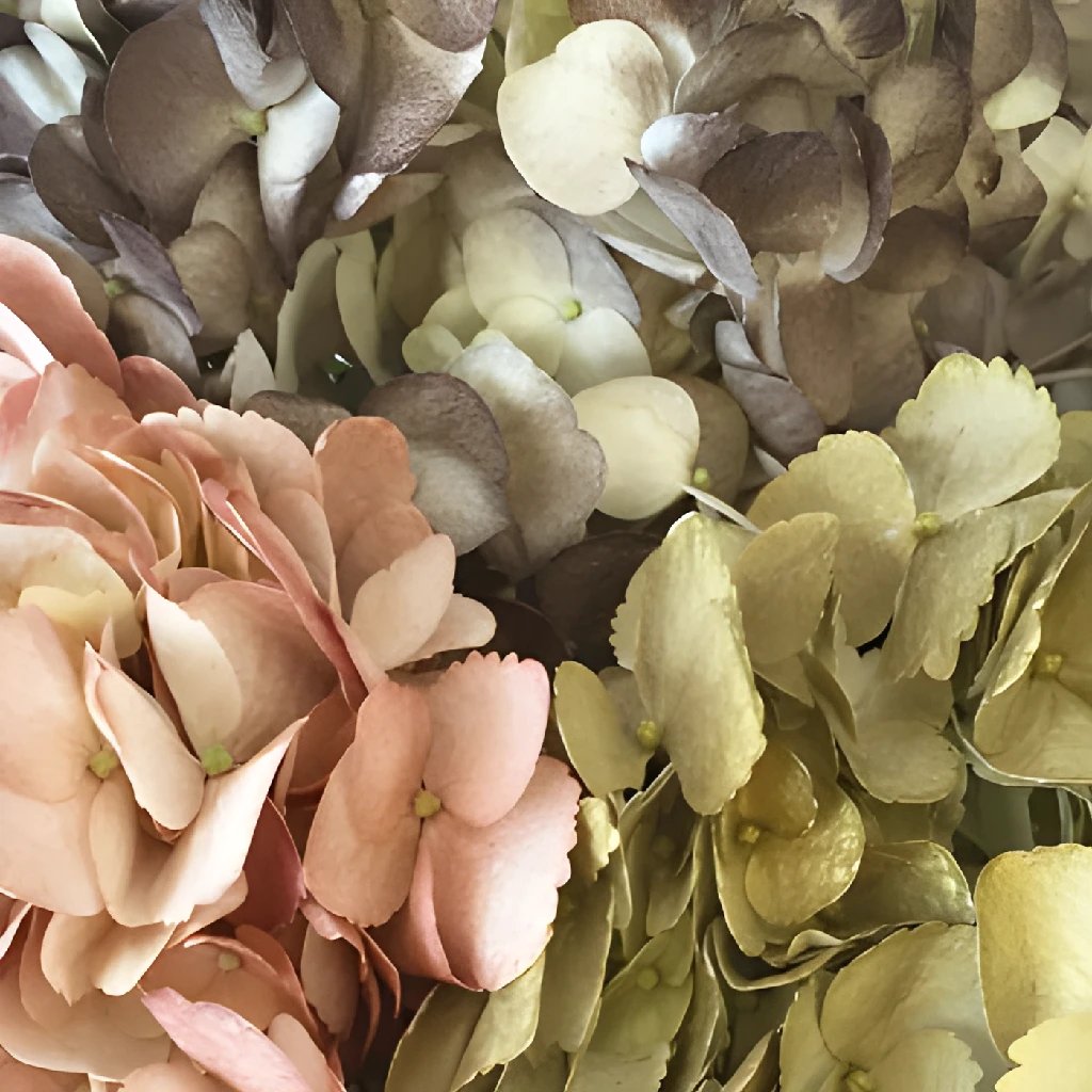Vintage Earth-Tone Airbrushed Hydrangea Flower Wall Art - Handmade Home Decor for Living Room, Bedroom & Office