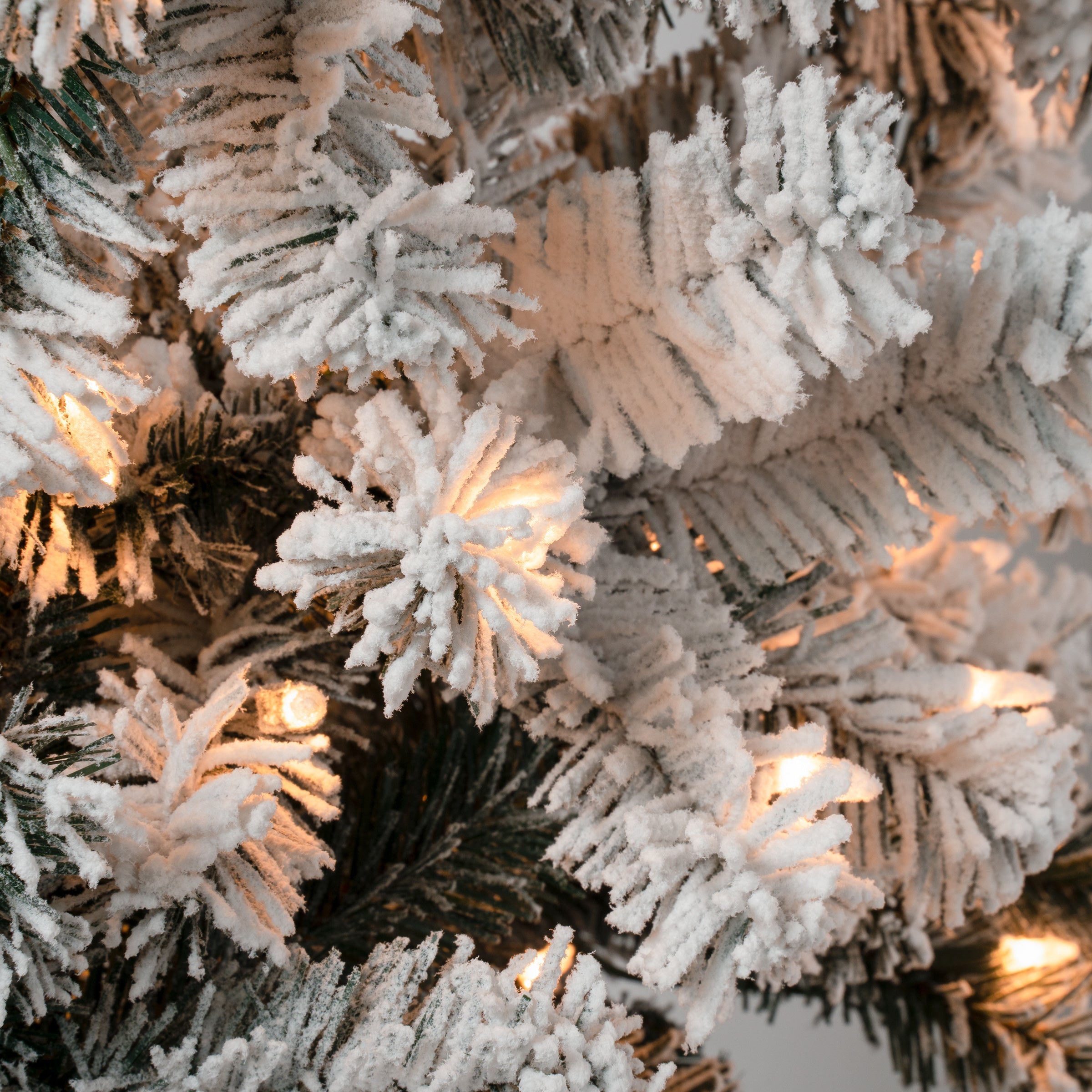 6 ft. Pre-Lit Acacia Medium Flocked Christmas Tree with Clear Lights - Perfect for Living Room, Office, and Holiday Decorations