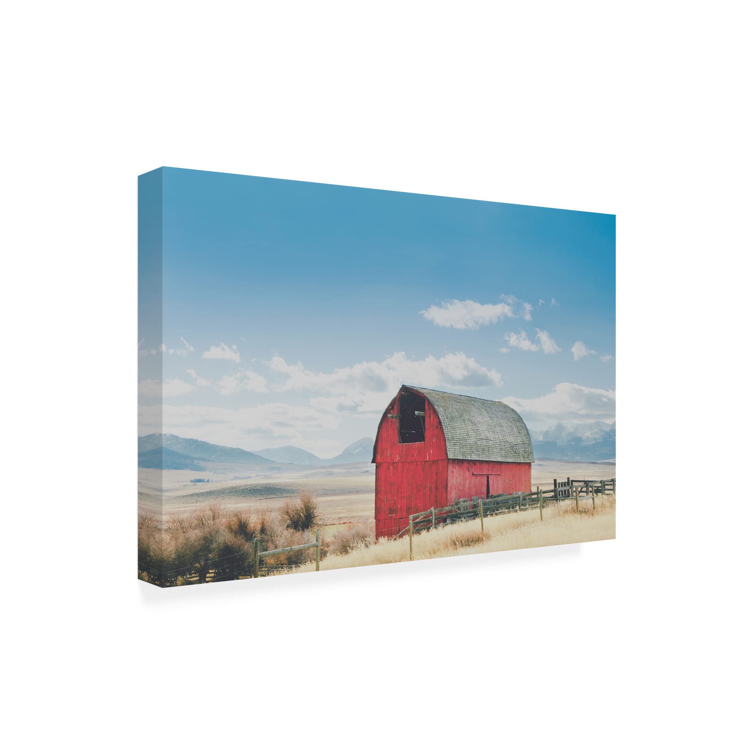 Annie Bailey Art 'Wood And Nails' Canvas Wall Art Print - Modern Home Decor for Living Room, Bedroom & Office - Trademark Fine Art Collection