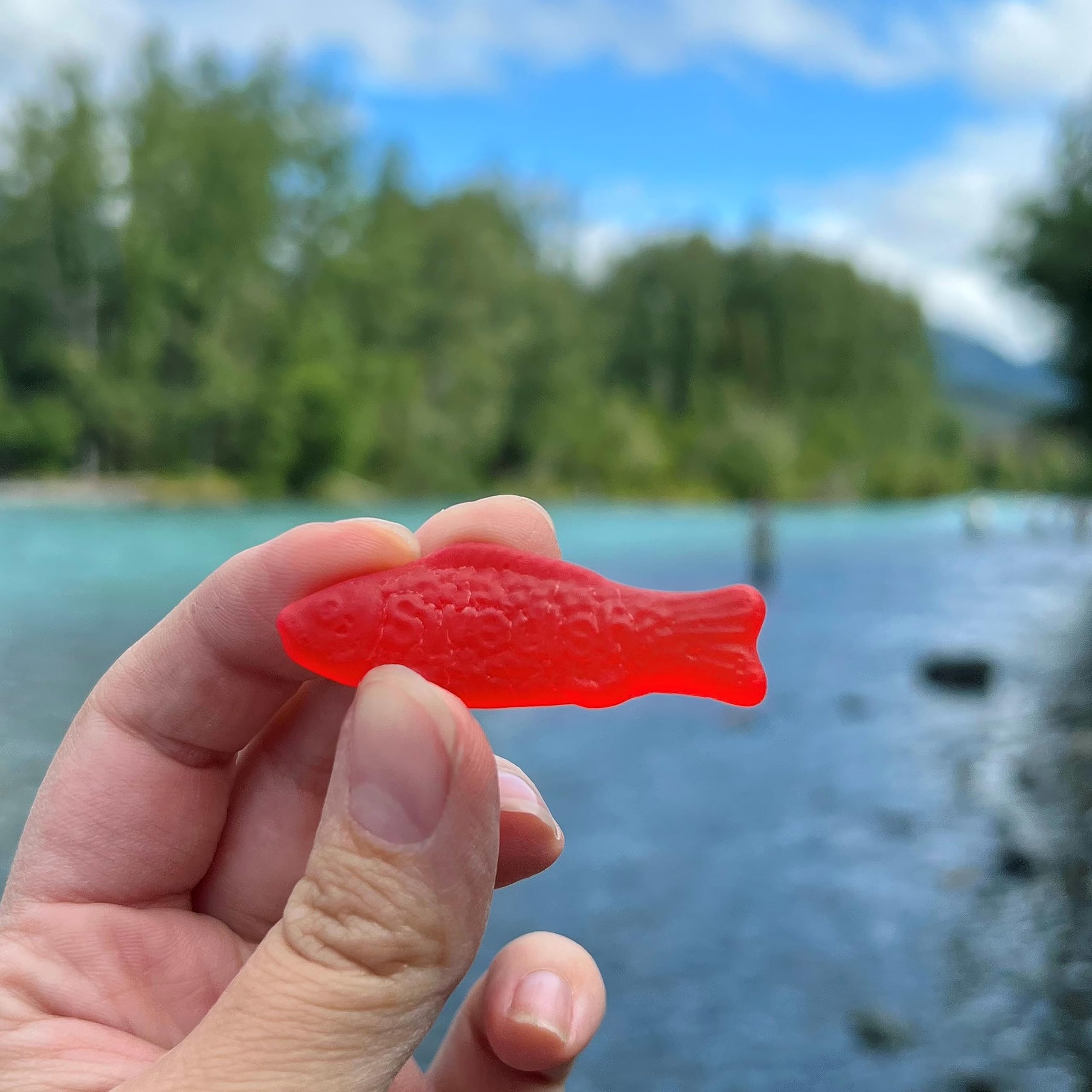 SWEDISH FISH Soft & Chewy Candy - Bulk Pack of 12 (3.6 oz Bags) - Perfect for Parties, Movie Nights & Office Snacks