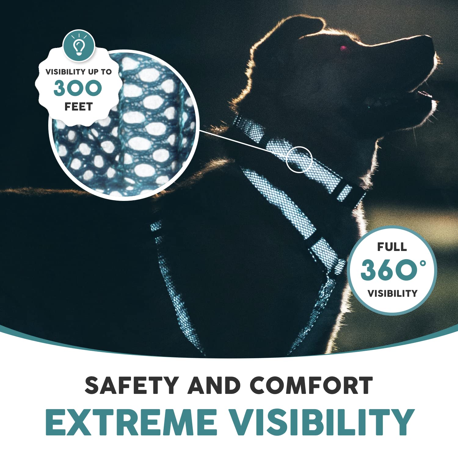 **Illuminate Reflective Dog Collar for Small Dogs – Adjustable Padded Nylon Collar with Buckle – Night Safety Visibility – Perfect for Night Walks & Outdoor Adventures (Blue)**