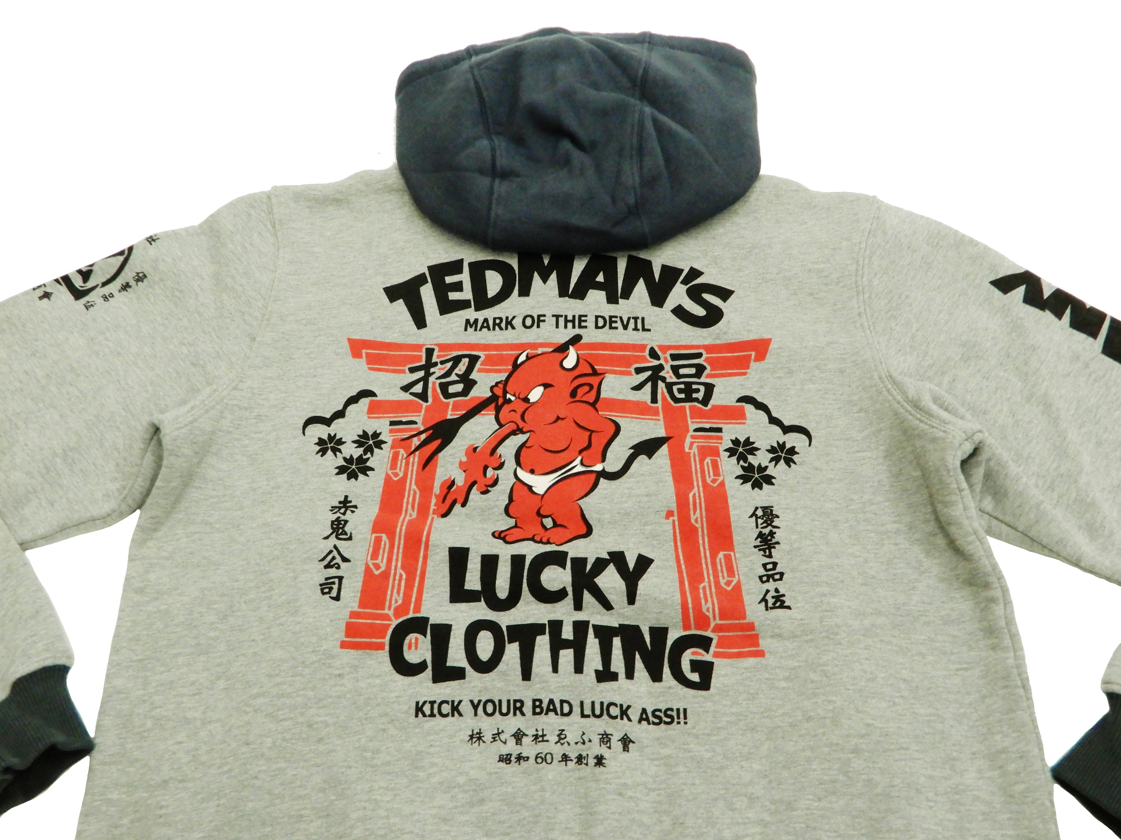 Tedman Men's Casual Full Zip Hoodie with Printed Design - Lightweight Comfortable Pullover Sweatshirt for Everyday Wear - TDSP 149 Ash Gray - Perfect for Outdoor Activities, Gym & Streetwear Fashion