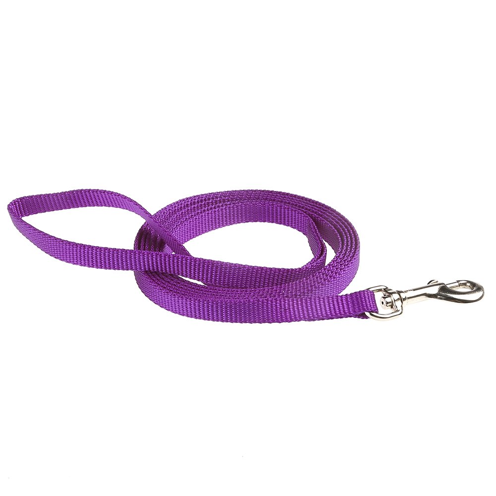 Purple Chicken Walking Leash - Adjustable Pet Harness for Hens & Small Birds - Perfect for Backyard Poultry, Farm Animals & Outdoor Adventures