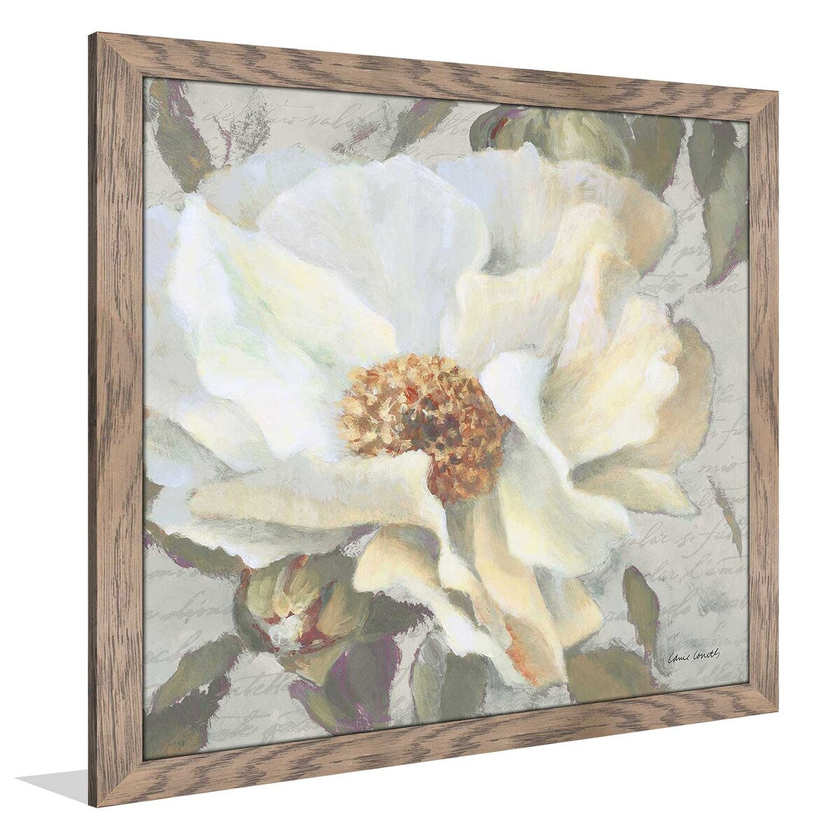 Blooming Peony Letter II by Lanie Loreth - Premium Acrylic Wall Art Print - Elegant Floral Home Decor for Living Room, Bedroom & Office