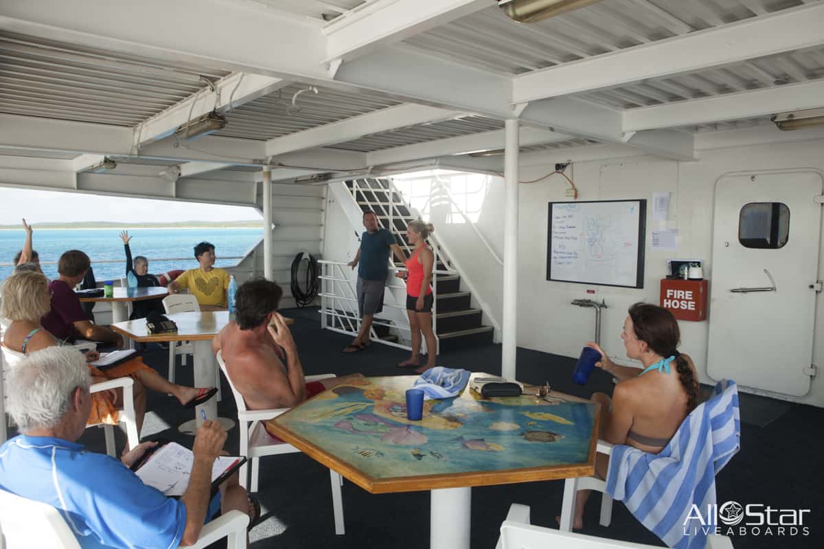 Bahamas Aqua Cat Luxury Catamaran Cruise - October 18-25, 2025 | Caribbean Sailing Vacation for Couples & Groups