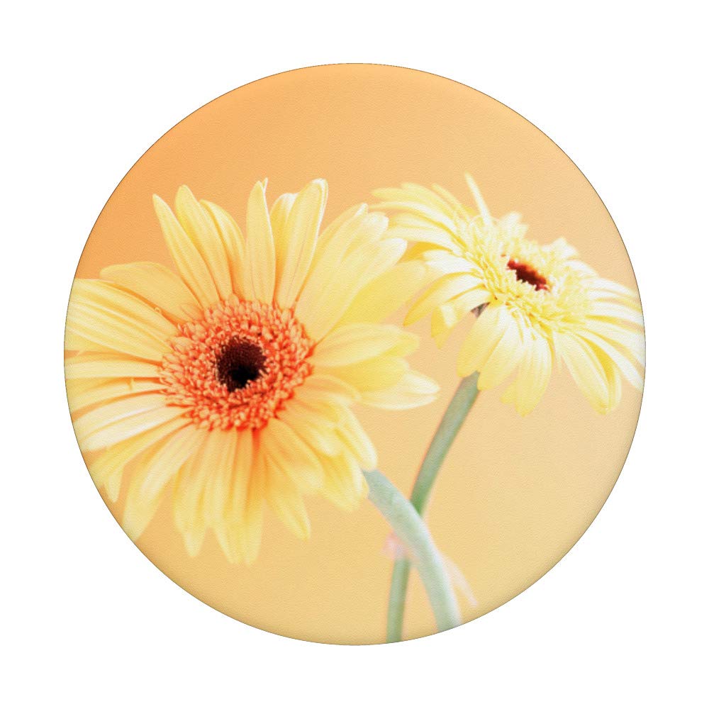 Yellow Daisy Floral PopSockets Grip & Stand for iPhone, Samsung, iPad - Phone Holder with Orange Flower Background - Perfect Gift for Women, Girls, Spring Decor