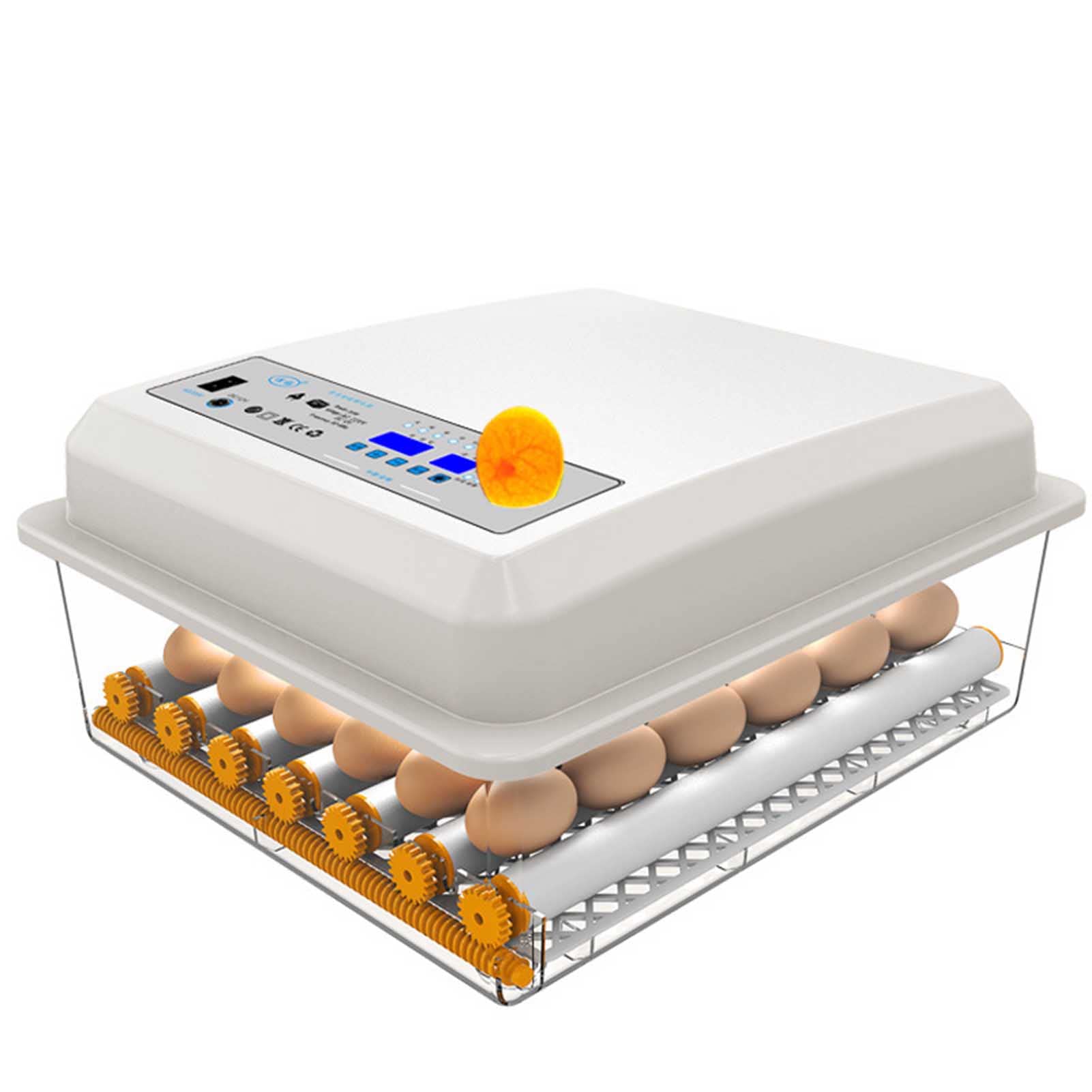 Digital Clear 36 Egg Chicken Duck Egg Incubator with Automatic Turning & Humidity Control - Poultry Hatcher for Chicken, Ducks, Birds - Perfect for Home Farming, Hatching Projects & Educational Use