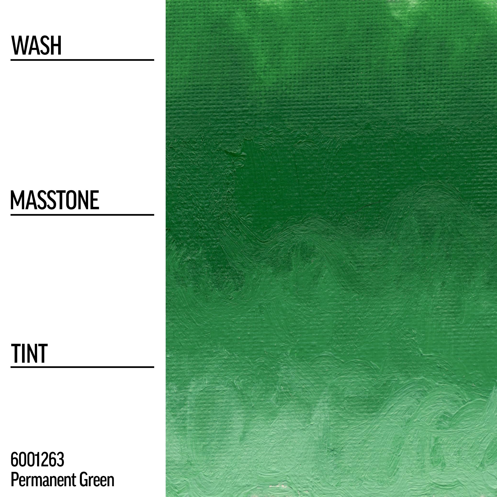 GOLDEN Williamsburg Artist Oil Paint - Permanent Green, 150ml Tube | Professional Grade Semi-Opaque Oil Colors for Canvas Painting & Fine Art