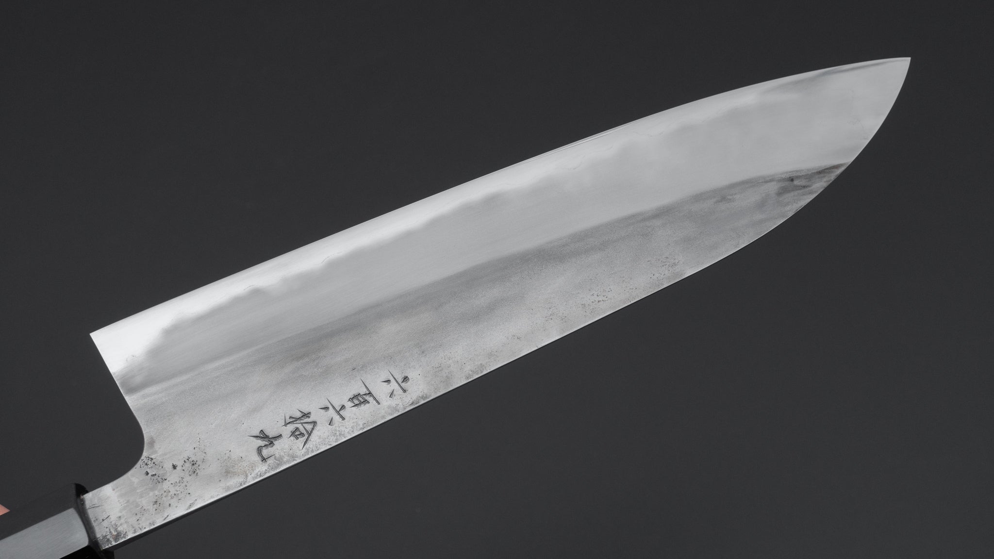 Premium Jiro Tsuchime Wa Gyuto 240mm Japanese Chef Knife with Taihei Tagayasan Handle (#669) - Perfect for Professional Chefs & Home Cooking, Sushi Preparation & Meat Cutting