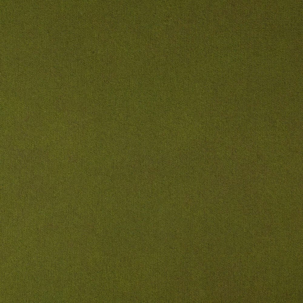 HP NS 2x3m Green Hand Painted Canvas Backdrop for Photography Studio, Events & Home Decor | High Quality Art Material Background