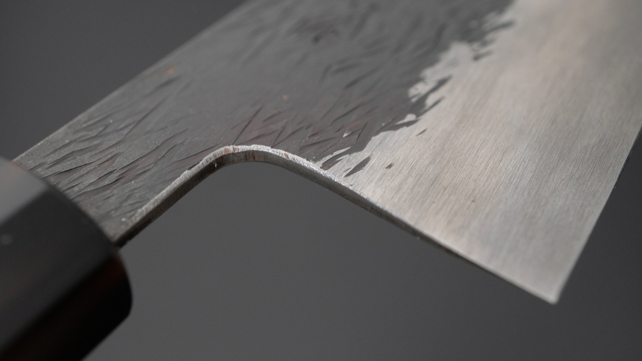 Premium Isamitsu Blue Super Stainless Clad Kurouchi Gyuto Chef Knife 240mm with Taihei Makassar Ebony Handle - Perfect for Professional Chefs & Home Cooking, Sushi, Meat Cutting & Vegetable Prep