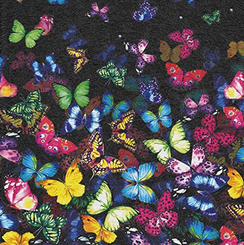 005 Butterfly