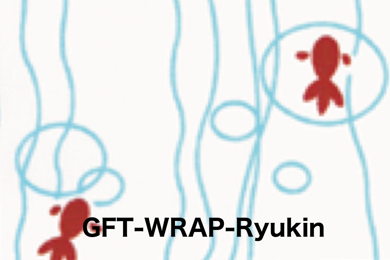 Best Gift Wrapping Supplies for Birthdays, Holidays & Special Occasions - Premium Wrapping Paper, Ribbons & Bows for Perfect Present Presentation
