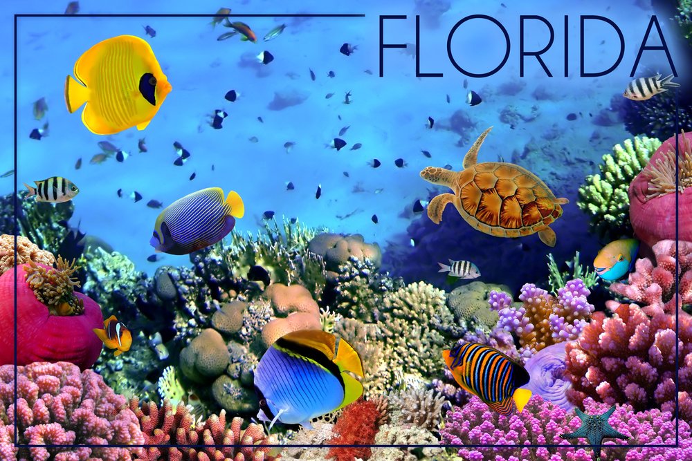 Florida Underwater Coral Wall Art - 16x24 Gallery Quality Metal Print, Aluminum Decor for Home & Office - Perfect for Beach House, Coastal Decor & Marine Lover Gifts