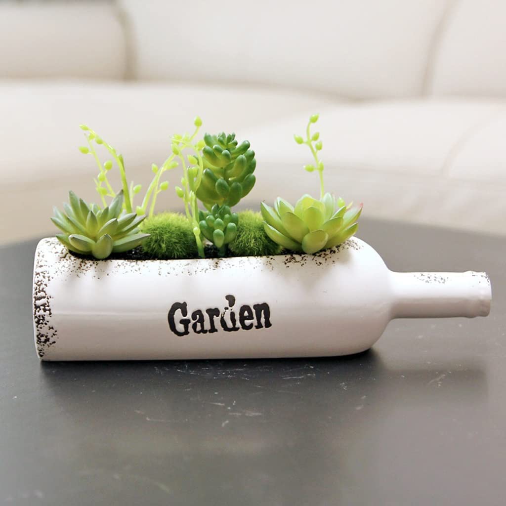 Artificial Succulent Bonsai Plants in Pots - Faux Cactus & Flower Arrangement for Home Decor | Perfect for Office Desk, Living Room Centerpiece & Gift Giving (Color B)