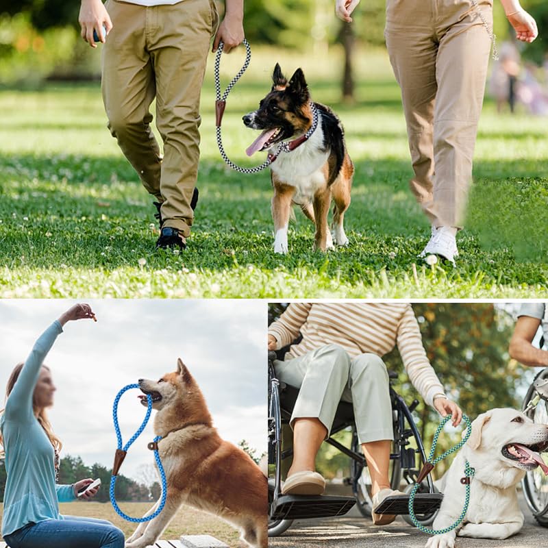 3FT Slip Lead Dog Training Leash - No Pull Pet Leash for Medium & Large Dogs - Durable 1/2 Inch Nylon Rope Slip Collar (3FT x 1/2