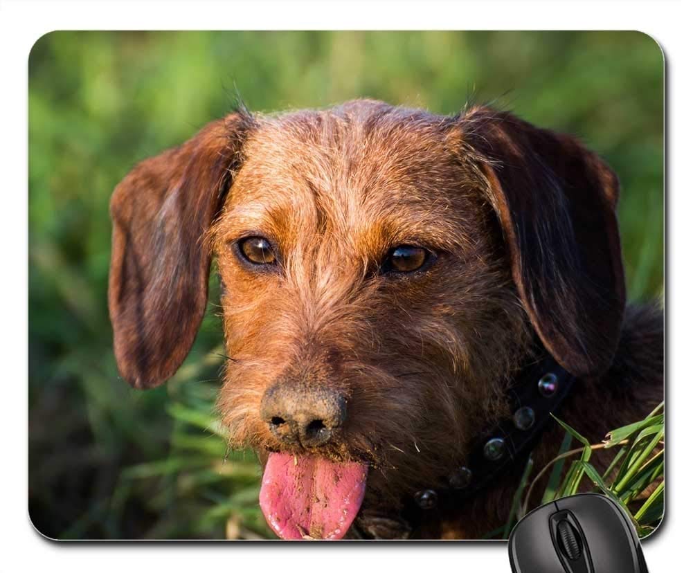Premium Gaming Mouse Pad with Non-Slip Base - Cute Dachshund Dog Design for Gamers & Office Use - Perfect for PC, Laptop & Workstation Setup