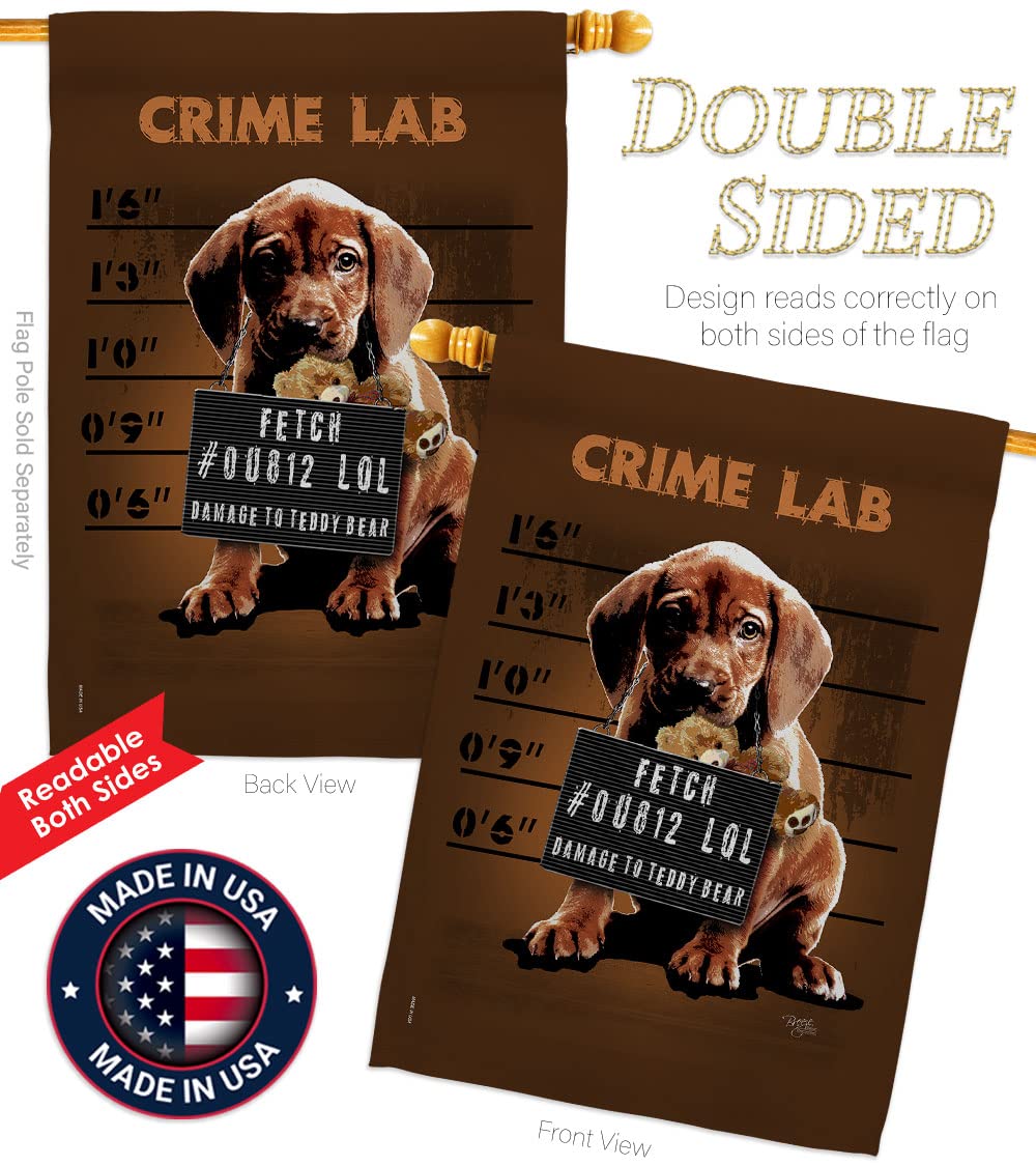 Crime Lab Nature Pets House Flag Set 28x40 with Flagpole - Outdoor Decor