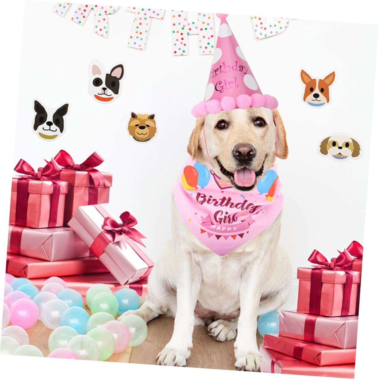 GRIRIW Dog Birthday Hat & Collar Bib Set - Adjustable Pet Party Accessories for Small Medium Large Dogs - Perfect for Birthday Parties, Halloween & Christmas Costumes