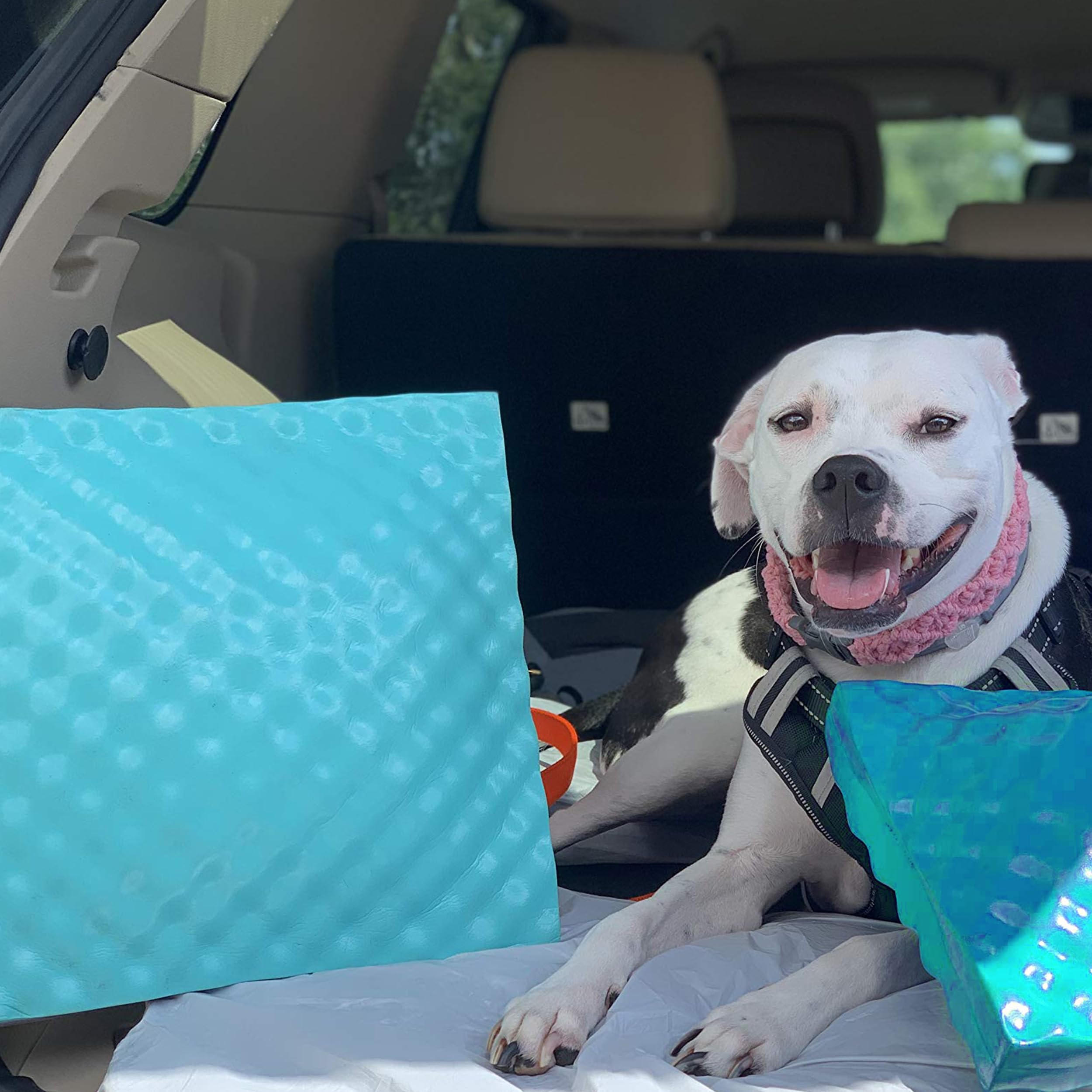 VOS Waterproof Pillow - Ultra Soft & Durable Hypoallergenic Pillow for Beach, Camping, Pool & Outdoor Use - Seafoam Square Pillow for Lounging, Travel & Water Activities