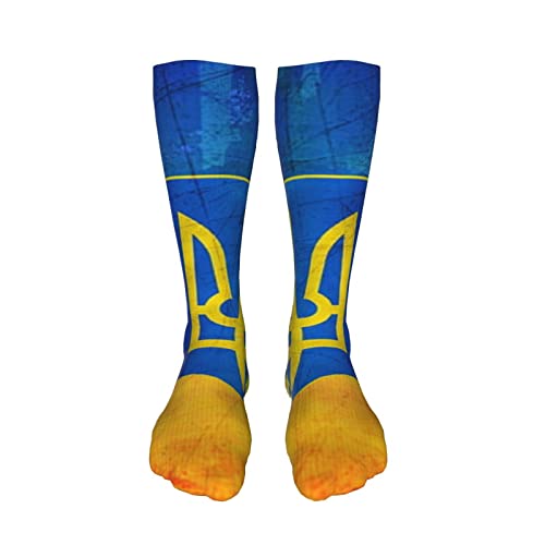 Ukraine Flag
