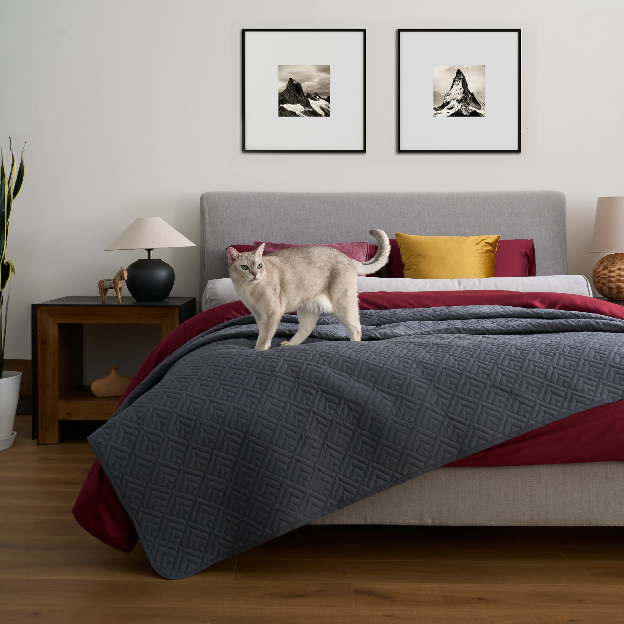 FURRFREE Quilt Set - Pet Hair Repellent Bedding for Dogs & Cats | Hypoallergenic & Easy Clean | Perfect for Pet Owners & Allergy Sufferers | Cozy Home & Bedroom Decor