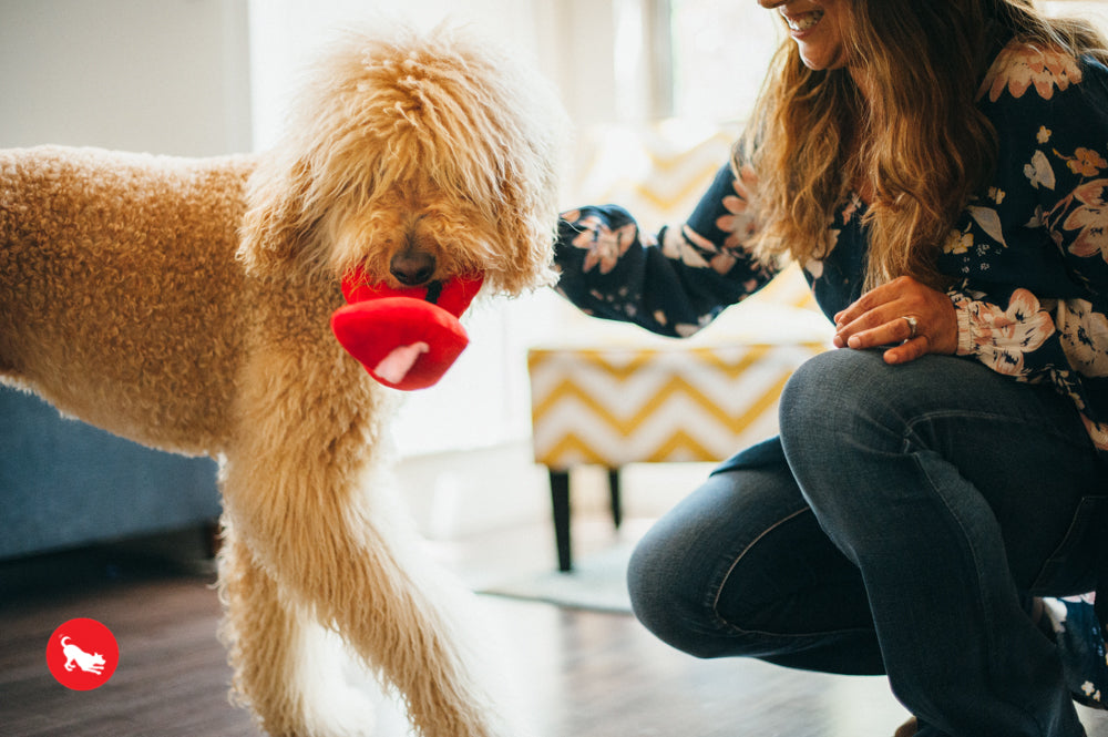 **Best Squeaky Plush Dog Toys for Puppies - Soft & Durable Chew Toys Bundle for Small & Medium Dogs - Perfect for Playtime, Training & Cuddling**