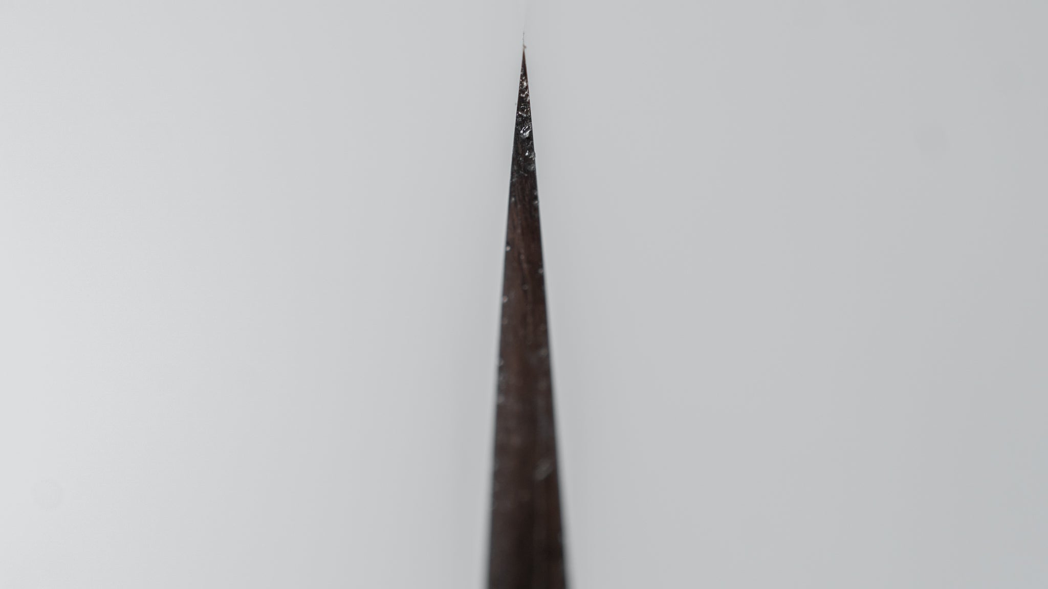 Premium Jiro Tsuchime Wa Sujihiki 240mm Japanese Slicing Knife - Taihei Tagayasan Handle (#390) - Perfect for Sushi, Sashimi & Meat Carving