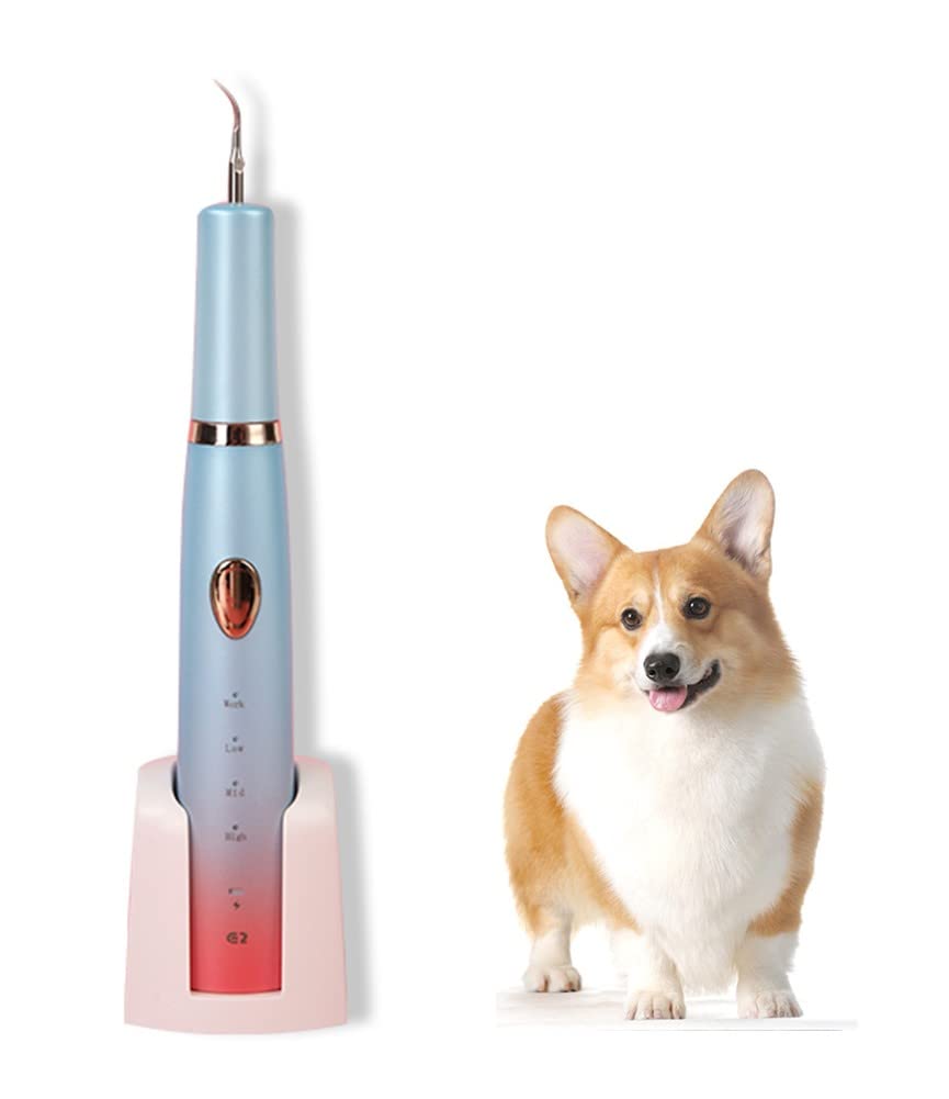 Electric Pet Toothbrush for Dogs & Cats - Tartar & Plaque Remover, Teeth Cleaning Kit with Polisher for Puppy Dental Care - Perfect for Home Pet Grooming & Oral Hygiene