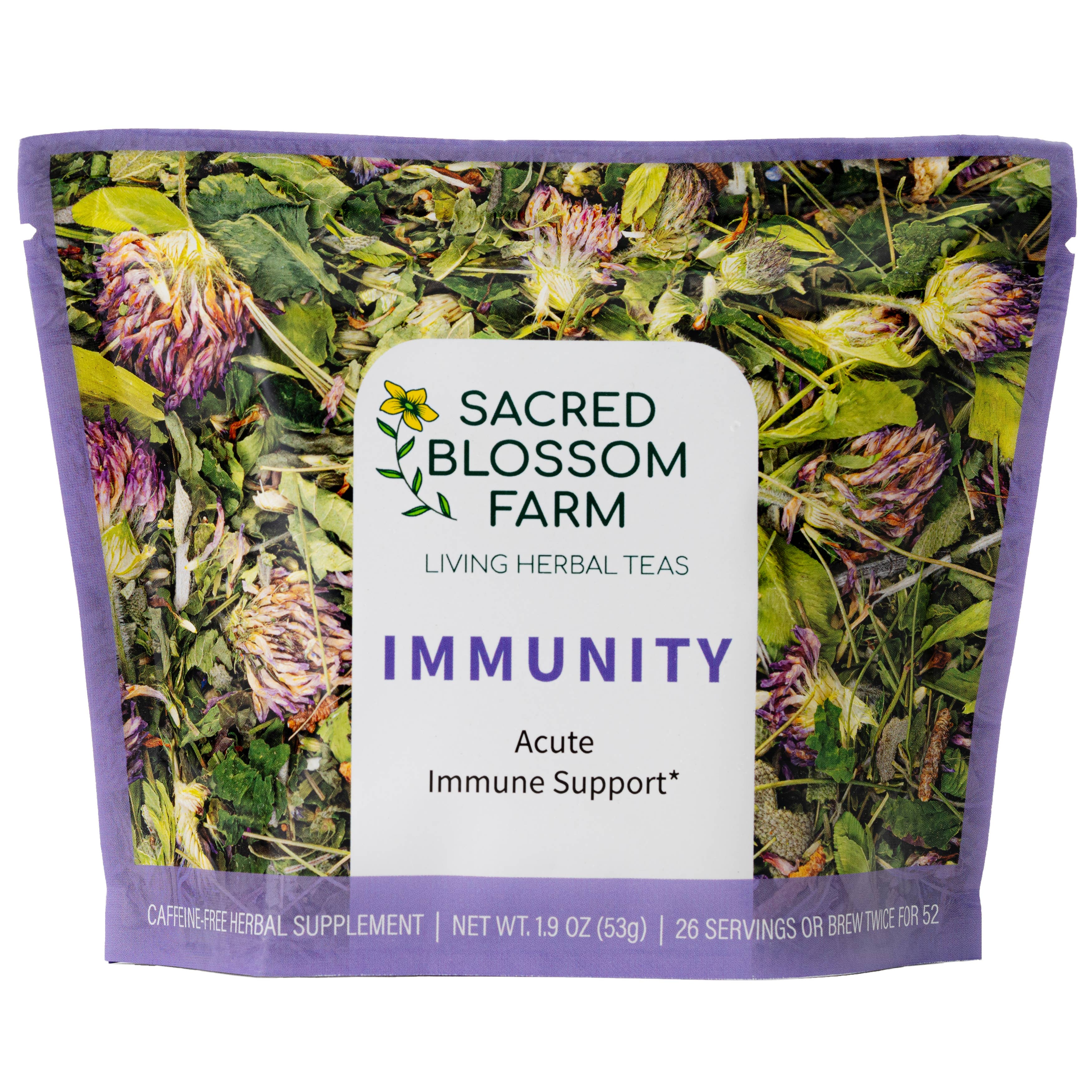 Best Immunity Boosting Supplements for Adults - Natural Immune Support Vitamins & Herbs for Daily Wellness & Cold Defense